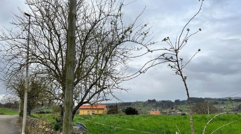 Cantabria - Reocín - 3775m2