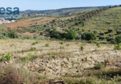 Land suitable for development for sale on España, Huétor Vega, ref: TR292769 photo