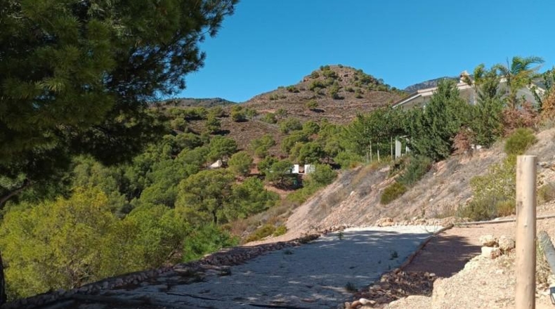 Murcia - Totana - 5000m2