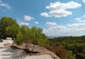 Casa de campo con terreno en venta en la España, Totana, ref: TR176983 foto