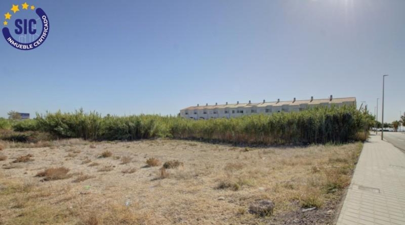 Castellon - Almenara - 682m2