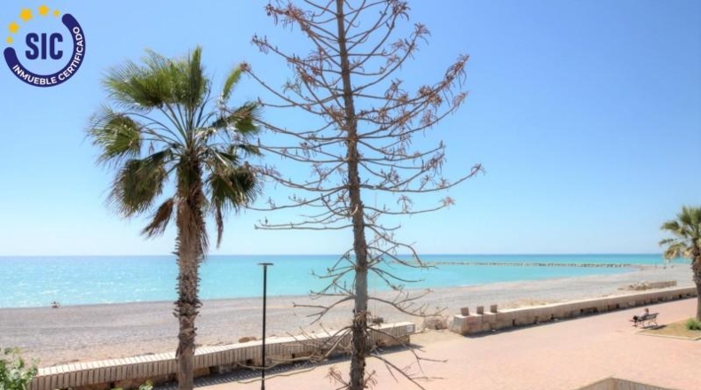Castellon - Almenara - 682m2