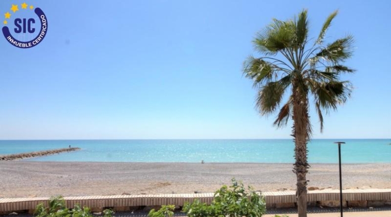 Castellon - Almenara - 682m2