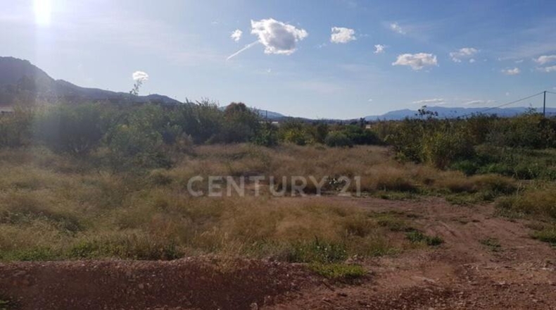 Murcia - Мурсия - 26500m2