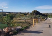 Parcel·la urbanitzable en venda a la España, Múrcia, ref.: TR328710 foto