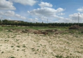 Land suitable for development for sale on España, Lorquí, ref: TR224482 photo
