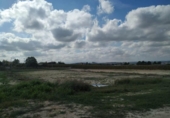 Land suitable for development for sale on España, Lorquí, ref: TR224482 photo