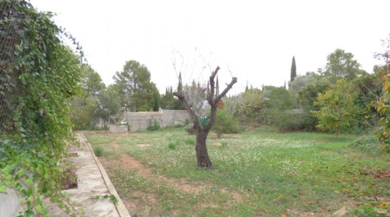 Tarragona - la Bisbal del Penedès - 600m2