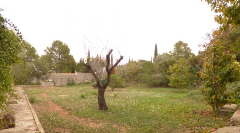 Tarragona - la Bisbal del Penedès - 600m2