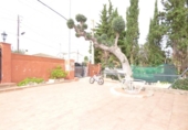 Chalet independiente con terreno en venta en la España, la Bisbal del Penedès, ref: TR151272 foto