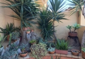 Chalet independiente con terreno en venta en la España, Algeciras, ref: TR368814 foto