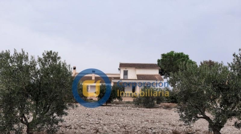 Murcia - Lorca - 10000m2