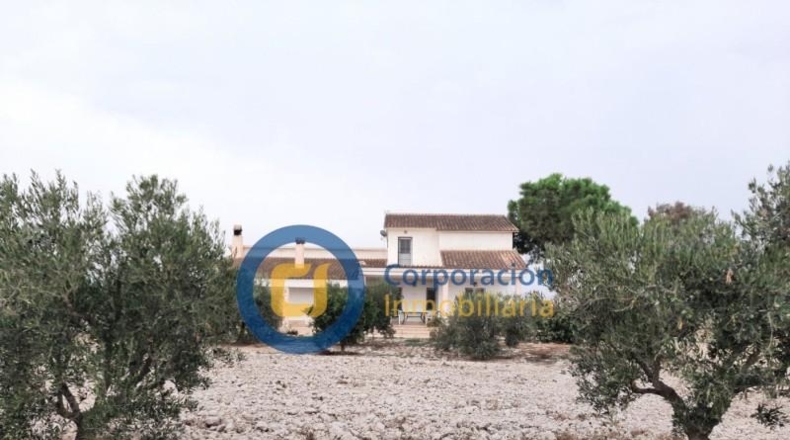 Murcia - Lorca - 10000m2