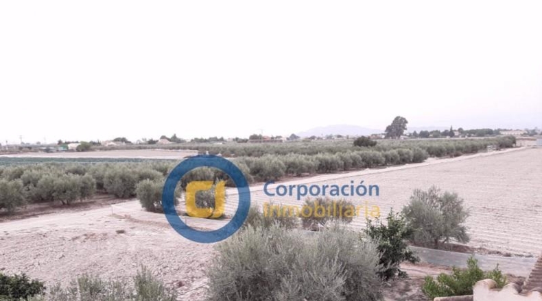 Murcia - Lorca - 10000m2