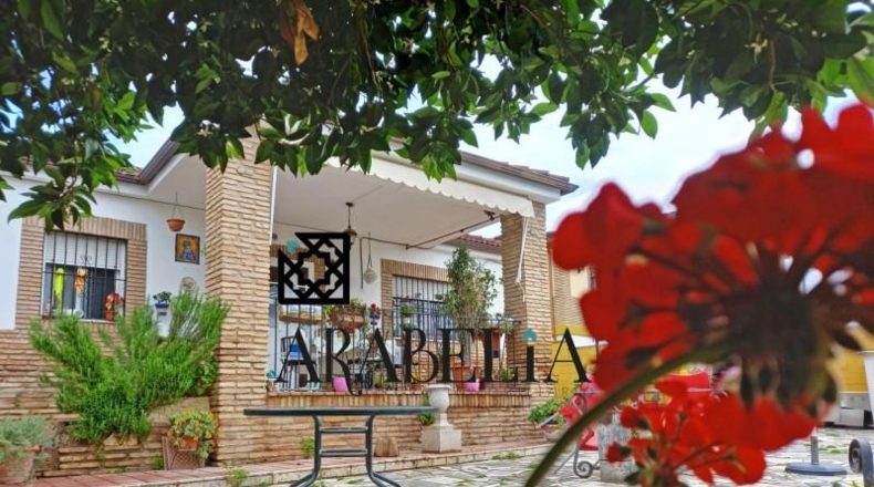 Córdoba - Córdoba - 1150m2