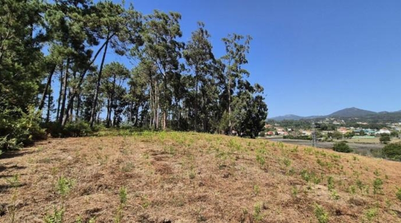 Pontevedra - Gondomar - 3100m2