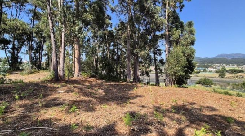 Pontevedra - Gondomar - 3100m2