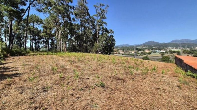 Pontevedra - Gondomar - 3100m2