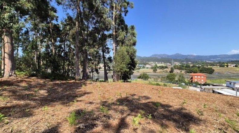 Pontevedra - Gondomar - 3100m2