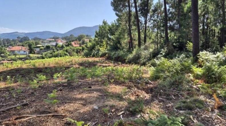 Pontevedra - Gondomar - 3100m2