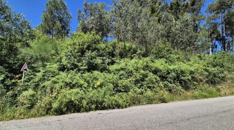 Pontevedra - Gondomar - 3100m2