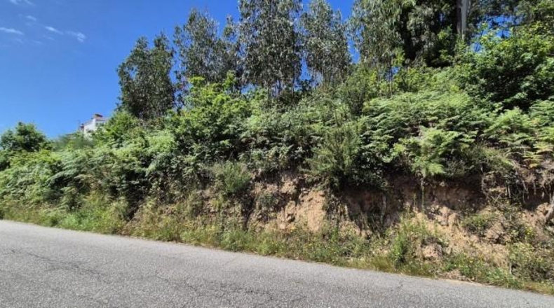Pontevedra - Gondomar - 3100m2