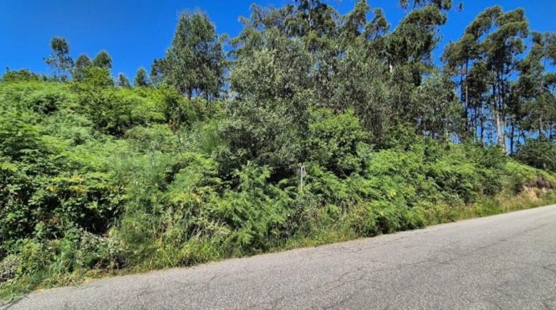Pontevedra - Gondomar - 3100m2