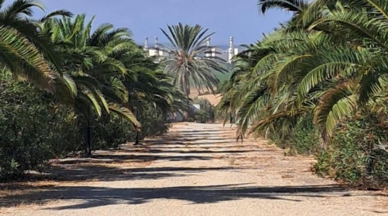 Cádiz - Arcos de la Frontera - 63619m2