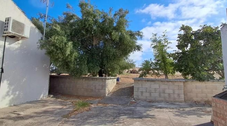 Cádiz - Arcos de la Frontera - 63619m2