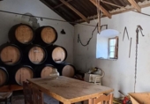 Xalet independent amb terreny en venda a la España, Arcos de la Frontera, ref.: TR171593 foto