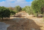 Xalet independent amb terreny en venda a la España, Arcos de la Frontera, ref.: TR171593 foto