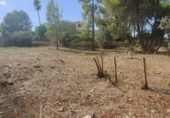 Terreny no urbanitzable en venda a la España, Dénia, ref.: TR125136 foto