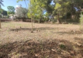 Terreny no urbanitzable en venda a la España, Dénia, ref.: TR125136 foto