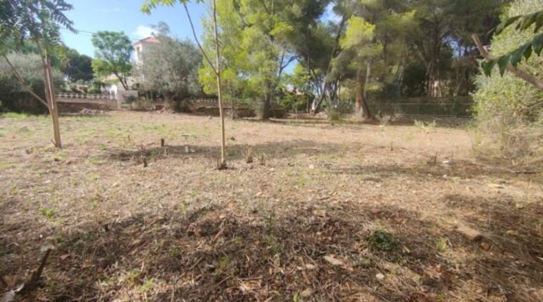 Alicante - Denia - 930m2