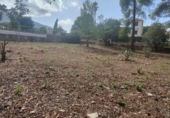 Terreny no urbanitzable en venda a la España, Dénia, ref.: TR125136 foto