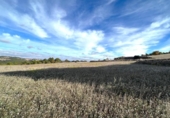 Chalet independiente con terreno en venta en la España, Argençola, ref: TR152642 foto