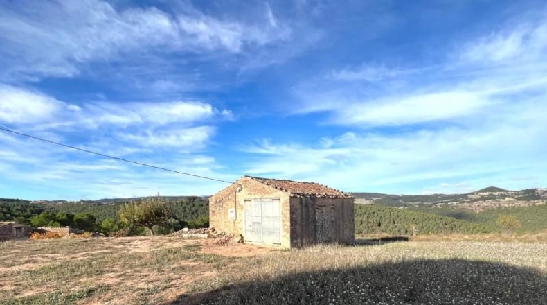 Barcelona - Argençola - 296m2