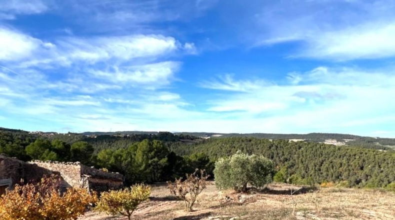 Barcelona - Argençola - 296m2