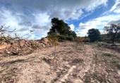 Chalet independiente con terreno en venta en la España, Argençola, ref: TR152642 foto