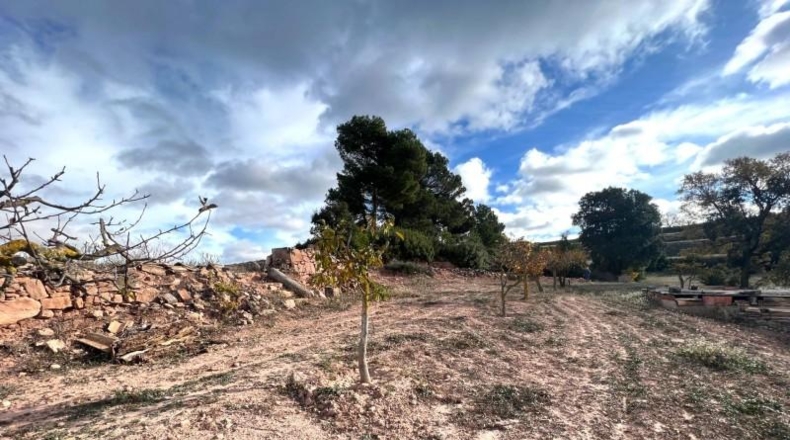 Barcelona - Argençola - 296m2
