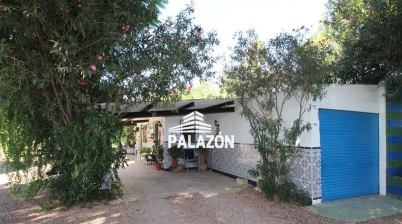 Alicante - Crevillente - 9000m2