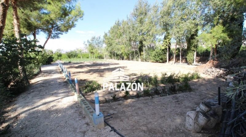 Alicante - Crevillente - 9000m2