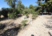 Xalet independent amb terreny en venda a la España, Crevillent, ref.: TR228528 foto
