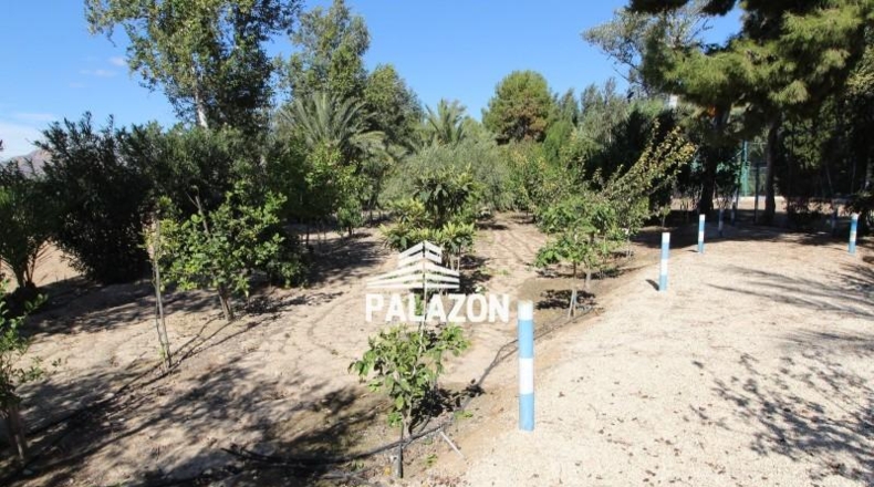 Alicante - Crevillente - 9000m2