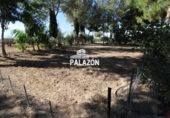 Xalet independent amb terreny en venda a la España, Crevillent, ref.: TR228528 foto