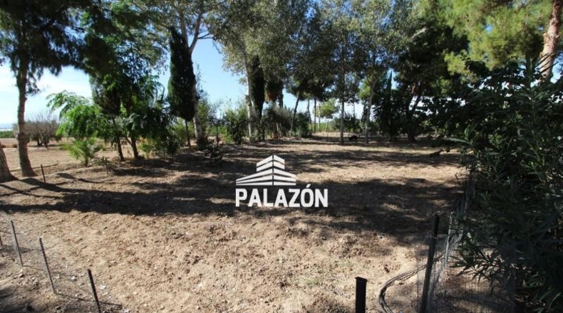 Alicante - Crevillente - 9000m2