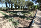 Xalet independent amb terreny en venda a la España, Crevillent, ref.: TR228528 foto