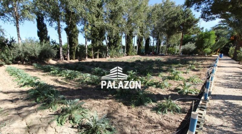 Alicante - Crevillente - 9000m2