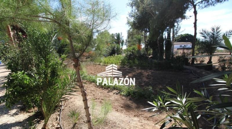 Alicante - Crevillente - 9000m2