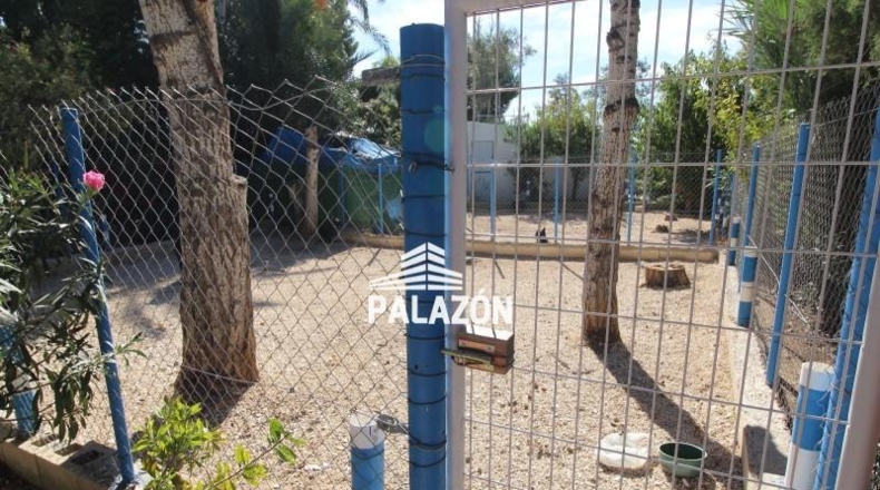 Alicante - Crevillente - 9000m2